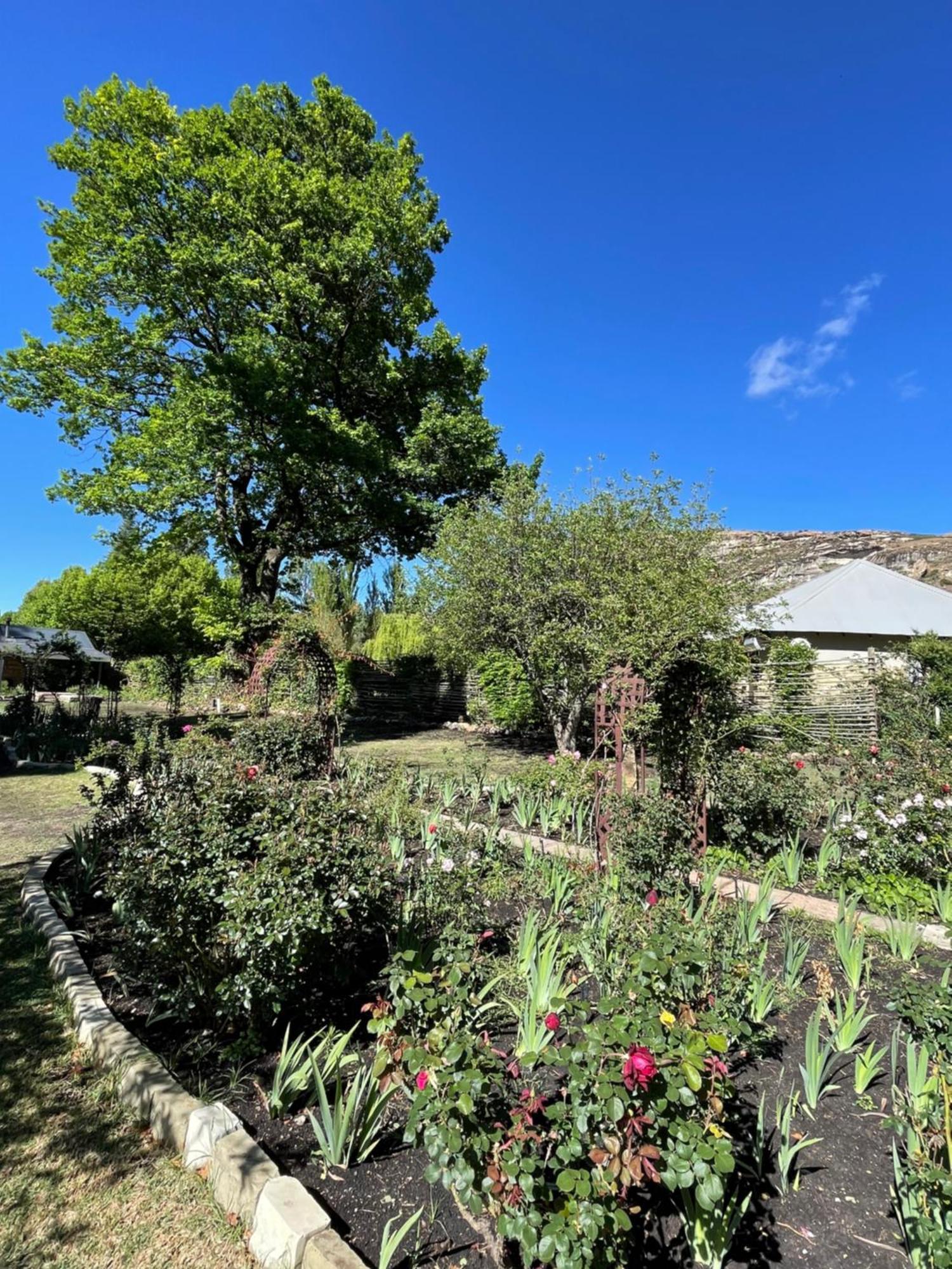 Periwinkle, Grove ,Acorn & Sage Cottages คลาเรนส์ ภายนอก รูปภาพ